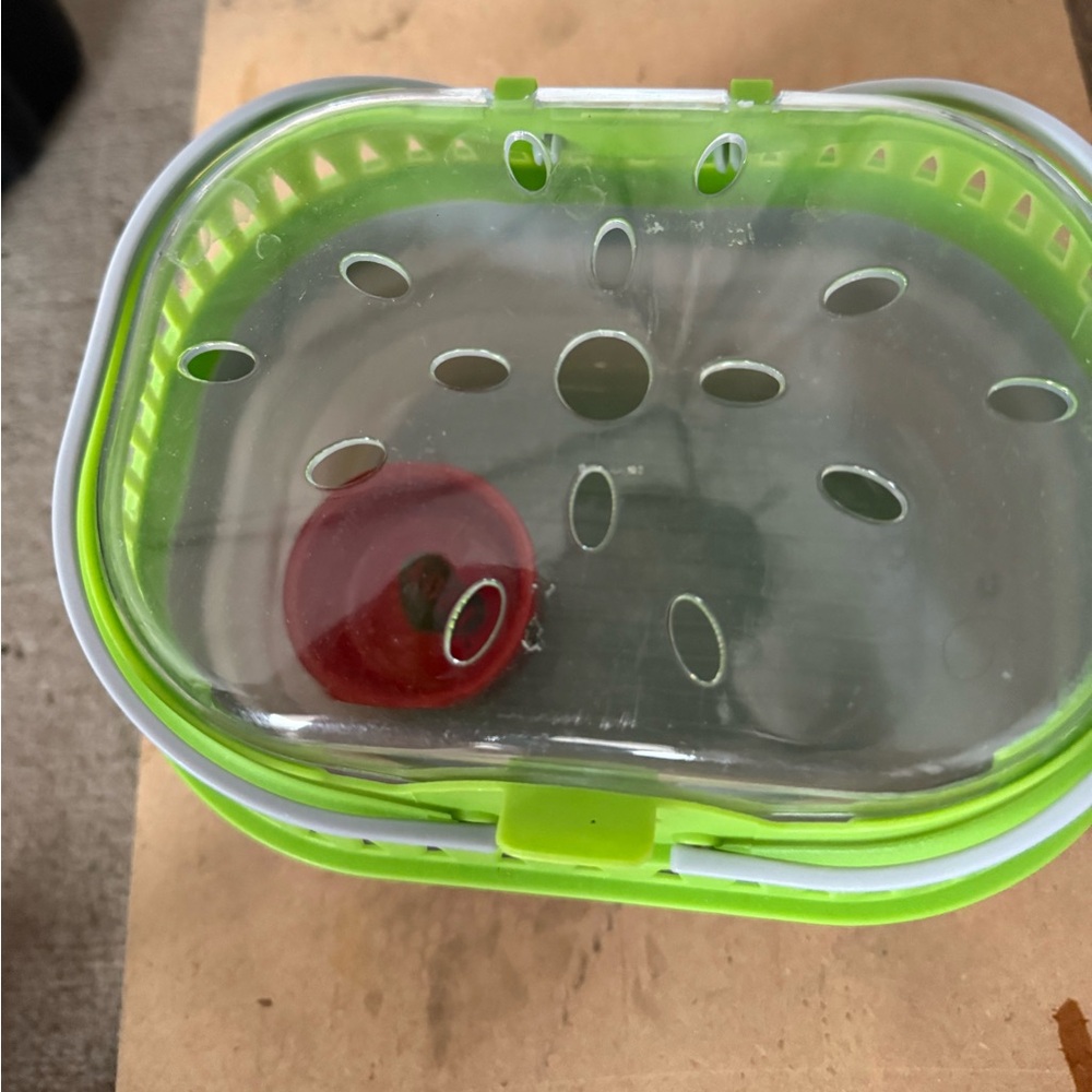 Green and Red Pet Carrier